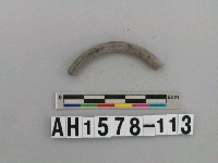 藏品(灰色泥質陶環殘件)的圖片